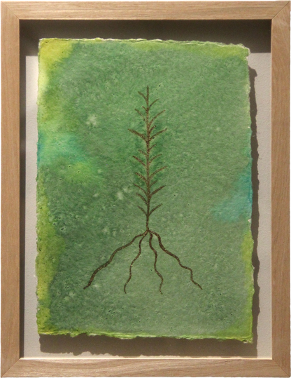 Rooted